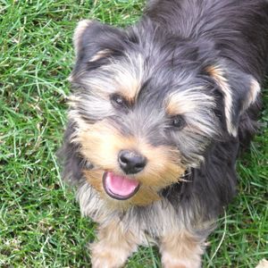 Meet your Posher, Esther